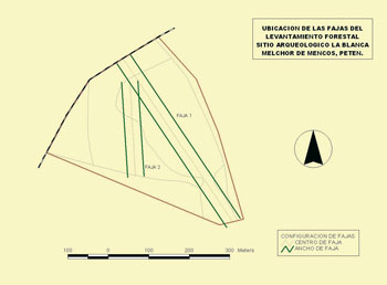Ubicación de las fajas del levantamiento forestal en La Blanca (Tomado de La Blanca y su entorno. Cuadernos de arquitectura y arqueología maya 2, 2007: 128)