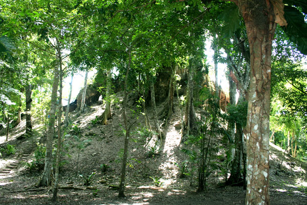 Arquitectura monumental de La Blanca semi-cubierta por la vegetación (Foto Cristina Vidal)