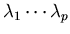 $\lambda_1 \cdots\lambda_p$