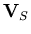 ${\bf V}_S$