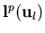 ${\bf l}^p({\bf u}_l)$