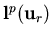 ${\bf l}^p({\bf u}_r)$
