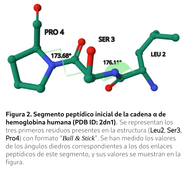 Estructura Primaria