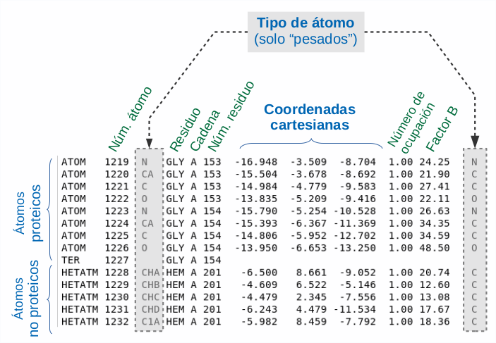 Protein Data Bank