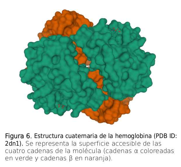 Estructura Cuaternaria