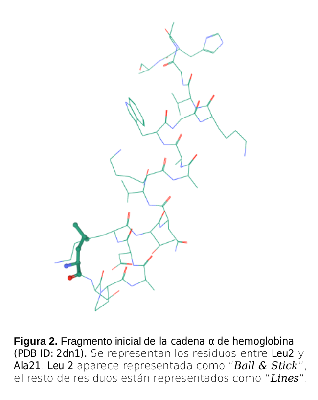Estructura Primaria