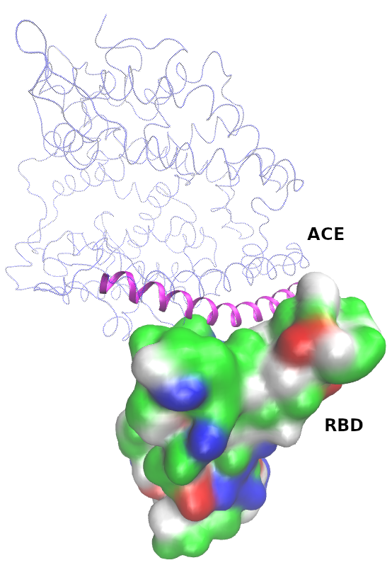 PDB ID: 7DF4
