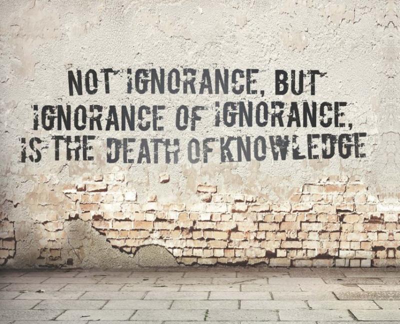 Frase habitualmente atribuida al filósofo Alfred North Whitehead. Procedente de la portada del libro <em>Routledge International Handbook of Ignorance Studies</em>. 2015. Edited by Matthias Gross. <a href=_https_/www.amazon.com/Routledge-International-Handbook-Ignorance-Handbooks/dp/0415718961___br.html /></a>
<div class="csl-bib-body">
<div class="csl-entry"> </div>
</div>
