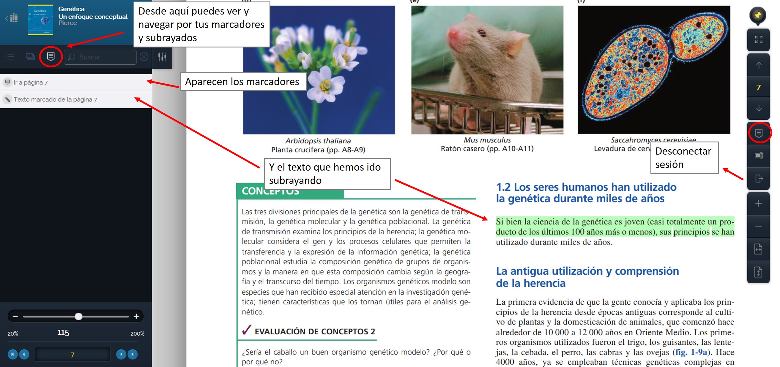 Funcionalidades del lector si te registras