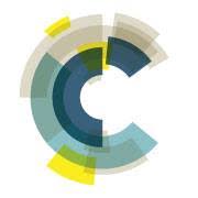 Logo RSC