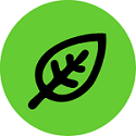 Green poster