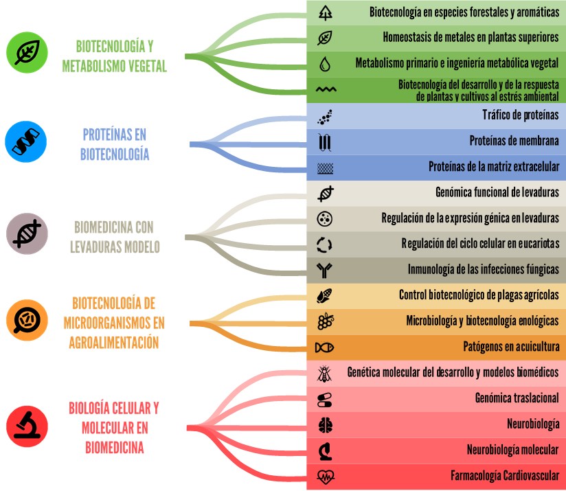 Organigrama