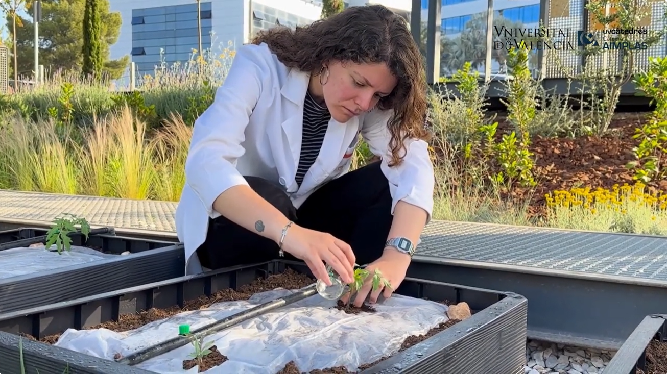 Fotograma del vídeo