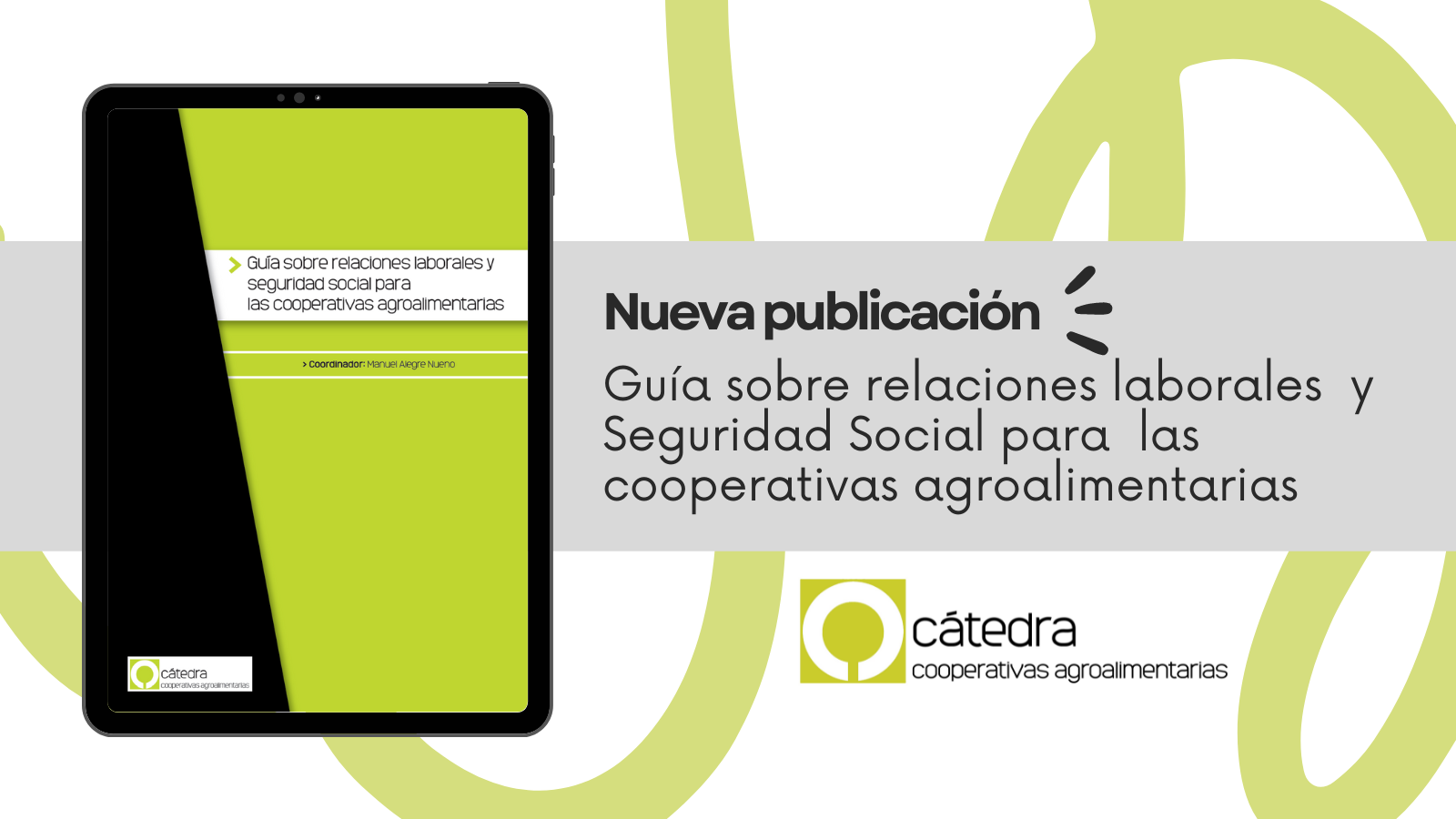 Infografía guía relaciones laborales