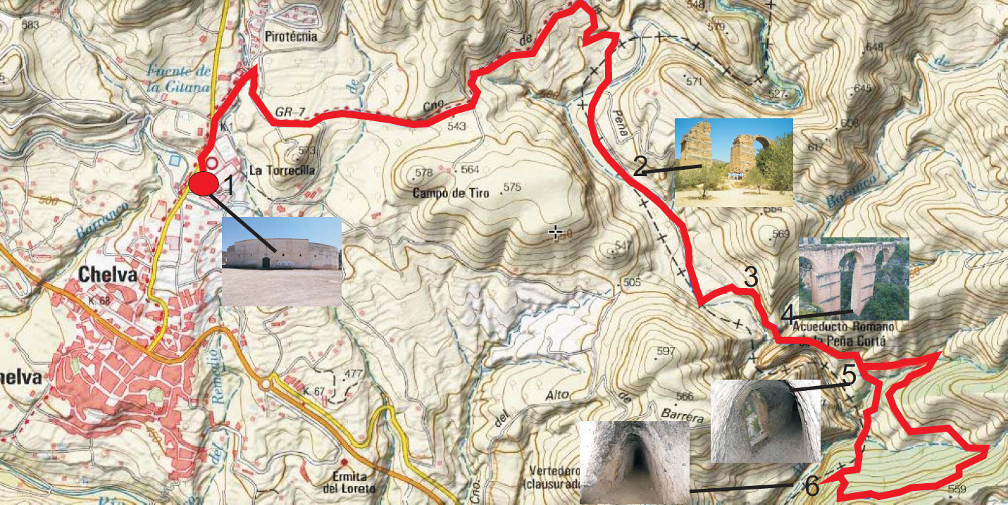 ruta