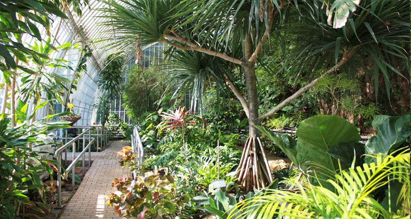 Jardí Botànic UV