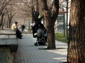 PICT0038