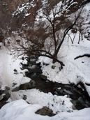 PICT0047