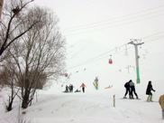 DSCN2537