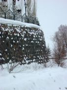 DSCN2567