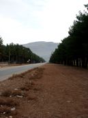 PICT0015