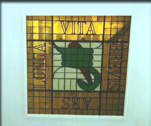 Vidriera superior