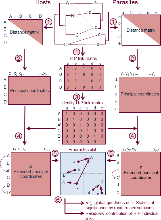 method overview