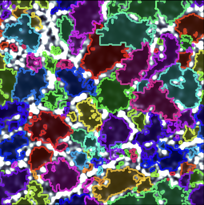 Voids in the cosmic web