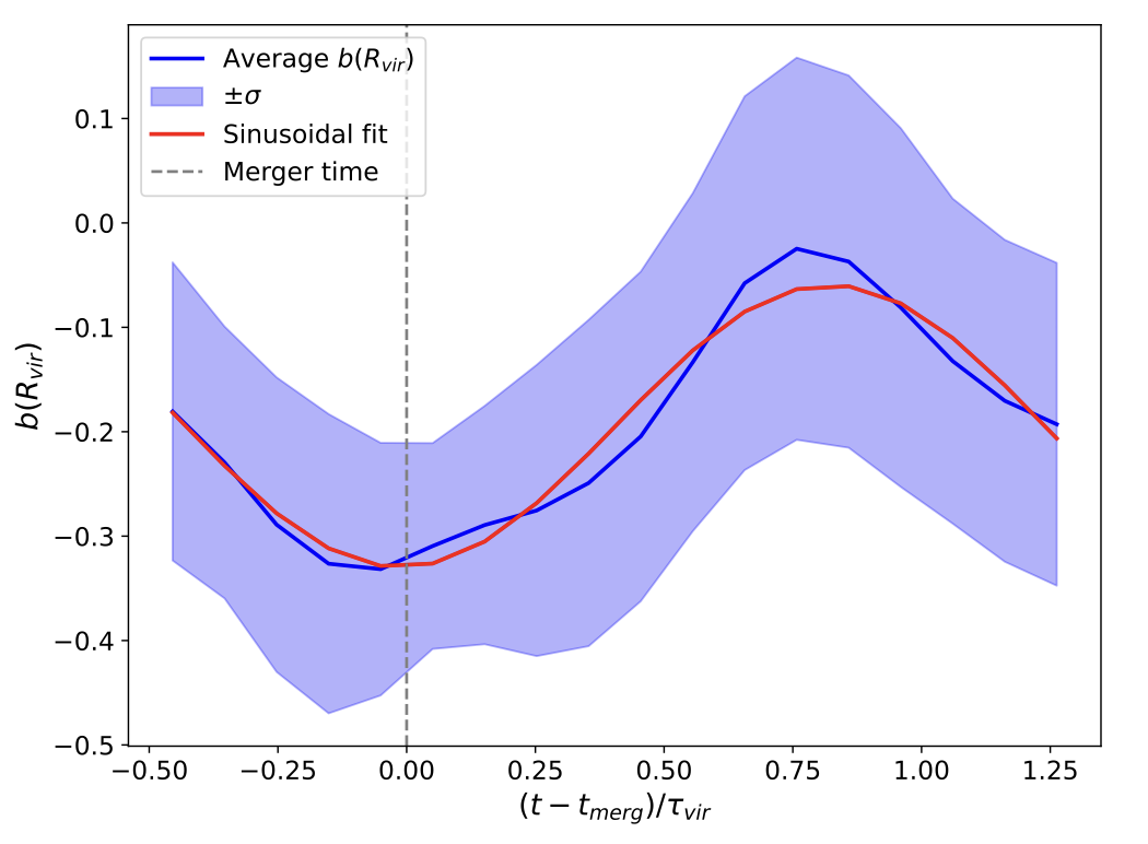 Evolution of the mass bias around a major merger event