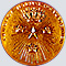 Nobel Prize medal - registered trademark of the Nobel Foundation
