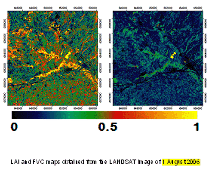 SVRC_LAI_FVCmaps.gif