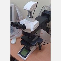 Microscopio
