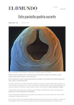 News cover
