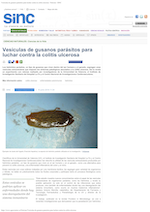 News cover