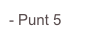 - Punt 5