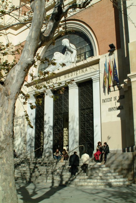 Medicina