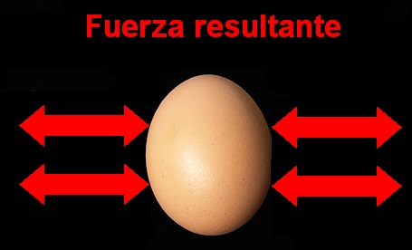 Presión hidrostática sobre un huevo