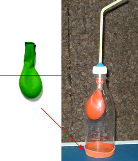 Modelo de sistema respiratorio