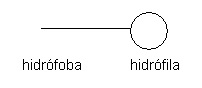 Fig. 4a. Molécula tensioactiva