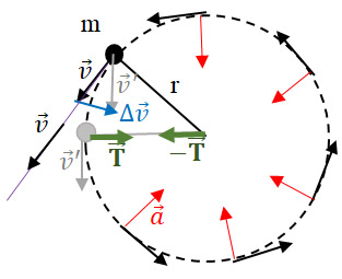 La honda y el movimiento circular