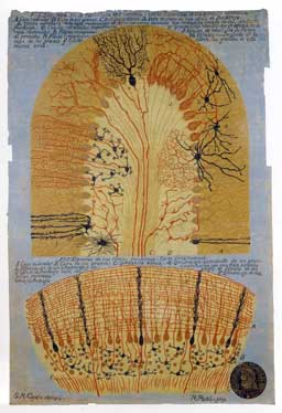 Esquema de la estructura del cerebelo, según Cajal