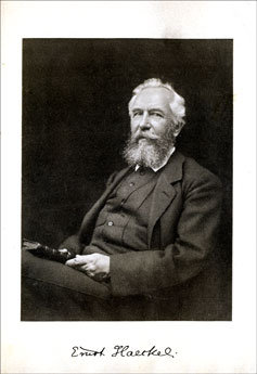 Retrato de Ernst Haeckel (1900)