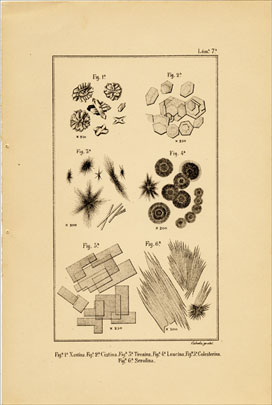 Cristales dexantina, cistina, tirosina, leucina, colesterina, serolina