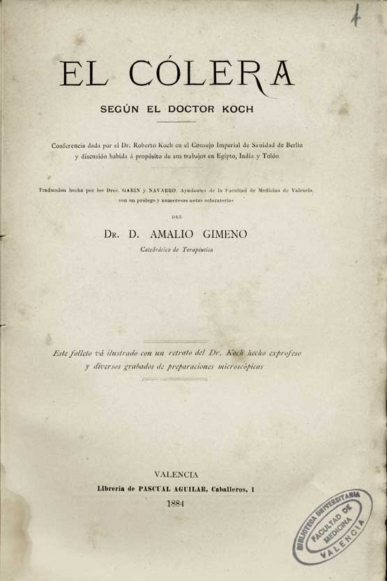 Amalio Gimeno, Académico