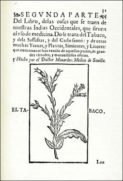 Grabado del Tabaco, del libro de N. Monardes