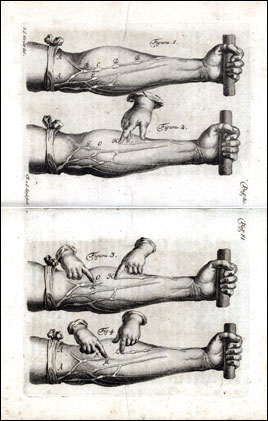 Lmina de 'Exercitatio anatomica...? (1737), de William Harvey