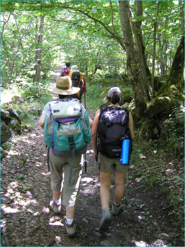 Travessant la selva