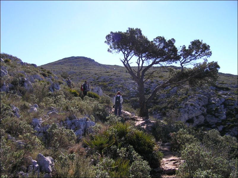 P1290041