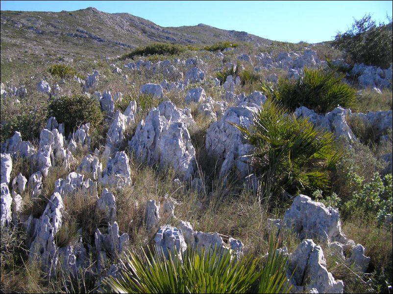 P1290044