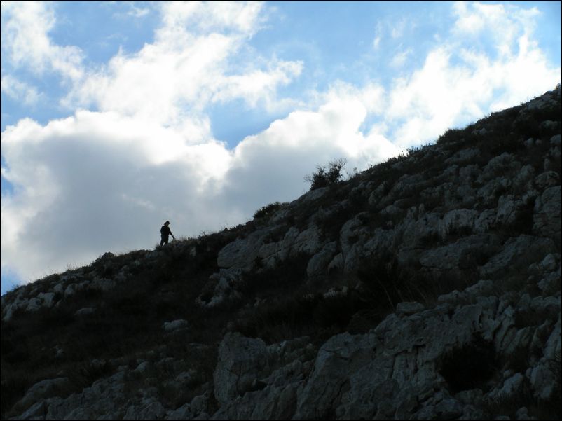 P1290101